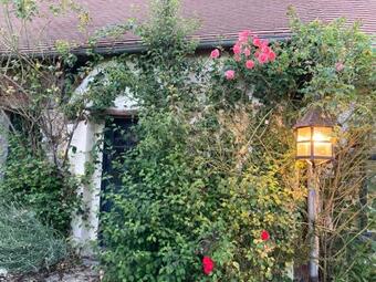 Bed & Breakfast Villa Nymphea