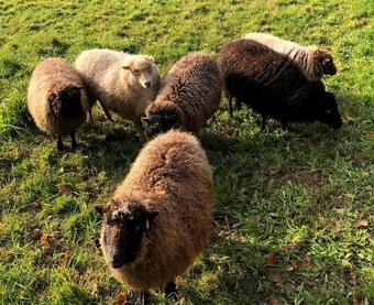 Bed & Breakfast La Hiette