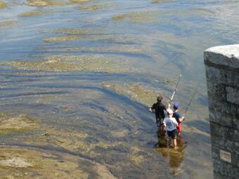 Jolie Maison Ancienne Renovee Pres Du Zoo Beauval Tout Confort