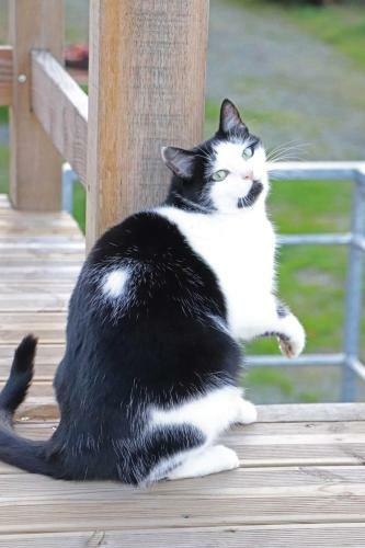 Hostal Le Fiege G�te Cosy Et Confort