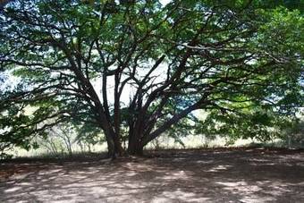 Lodge Pousada Terras Do Poente