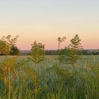Bed & Breakfast La Maison Morin