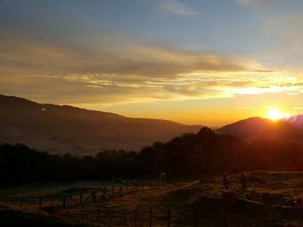 La B�gude D'amalth�e