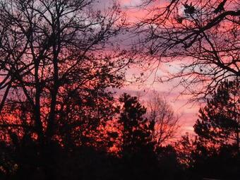 Bed & Breakfast La Cheneraie