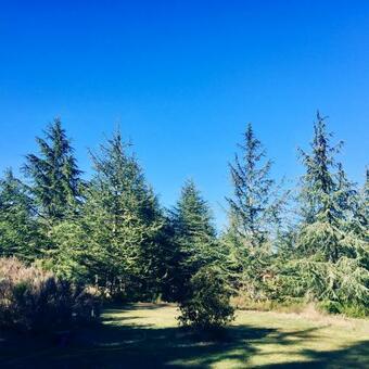 Domaine De La Vitarelle Glamping