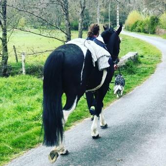 Hostal Le Gite De Gaia