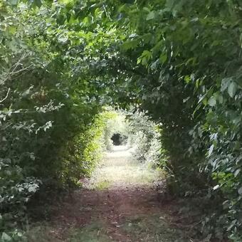 Gite Proche Du Val Joly - 4911 -