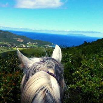 Villa Unique Et De Charme Pour 6 Personnes