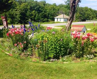 Vintage Motel Wilmington