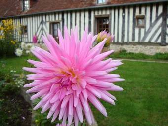 Hostal Ferme La Thillaye