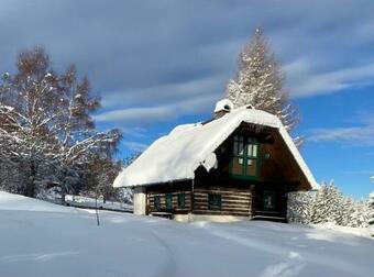 Ferienhaus Waldtraum