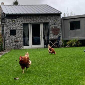 Apartamento Dailly Chalet