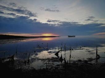 Br?vdienu M?ja Brangu?i