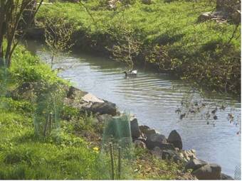 Bed & Breakfast Le Moulin De Monternault