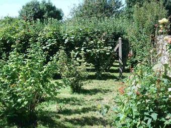 Bed & Breakfast Le Clos Des Tilleuls