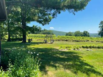 Country Lake House Nestled Between Vineyards