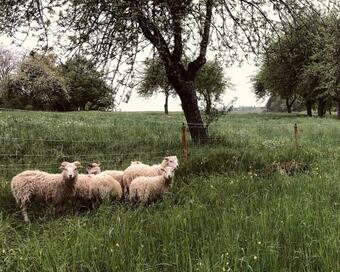 Str�umli Bed And Breakfast