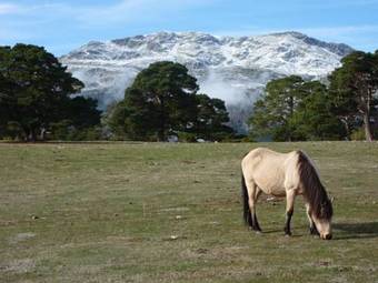 Apartamento Hotel Rural El Valle