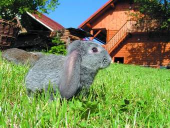 Agroturismo Tourist Farm Ur?ka