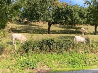 Hostal Les Chambres De Capucine