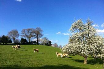 Hostal B&B La Gautraie