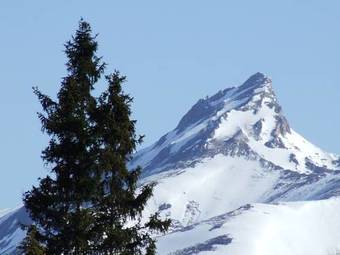 Apartamento Ferienwohnung Bliem