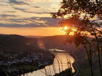Apartment An Der Mosel