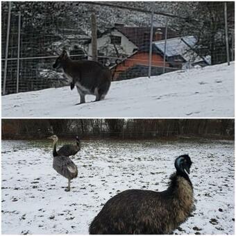 Hostal Pension Und Bauernhof Petzold