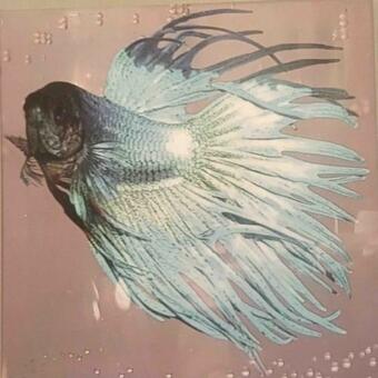 Apartamento Studio Leon