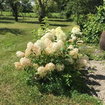 Villa Les Feuilles Jaunes