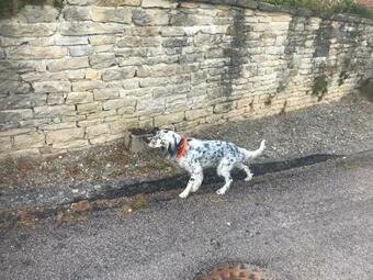 Bed & Breakfast Chez Zoiseau Et Zoiseautte