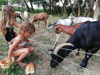 Bed & Breakfast Des Branches & Vous