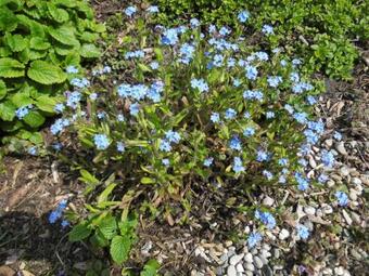 Dein Zuhause Auf Zeit