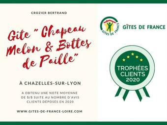 G�te Chazelles-sur-lyon, 5 Pi�ces, 10 Personnes - Fr-1-496-111