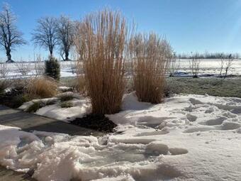 Villa Haus Strandgut