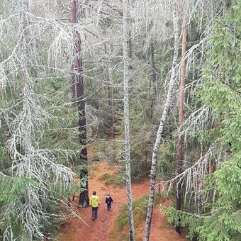 Apartamento Traumhafte Jurte Im Fichtelgebirge - Optional Mit Romantischen Whirlpool
