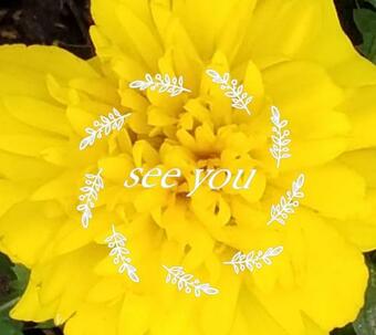 Apartamento Ferienwohnung Kleines Nest