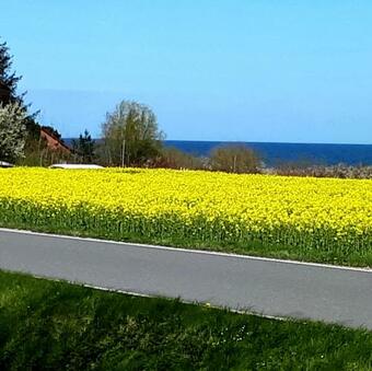 Apartamento Seeblick