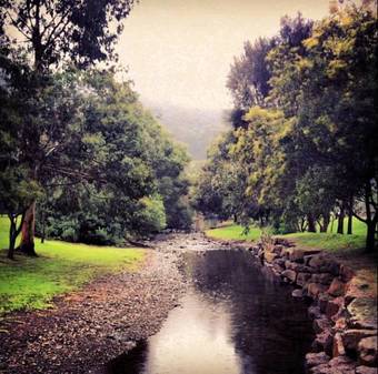 Big4 Wye River Holiday Park