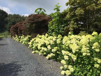 Hostal Ferienwohnung Kolb