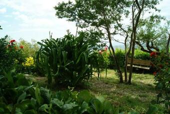 B&B Il Querceto
