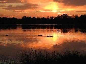 Apartamento Ferienhof Olbasee