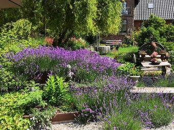 Apartamento Villa Landchic Lourdes Nr1