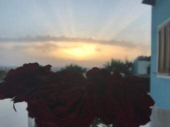 Agroturismo Agriturismo Sa Domo De S'olia