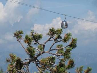 Apartment Janschitz Gundersheim