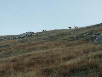 Bed & Breakfast Ponte Rio