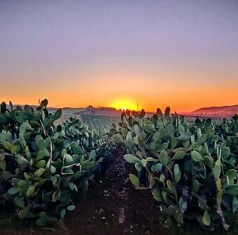Villetta Immersa Nel Verde
