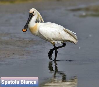 Apartamento Vista Su Collina