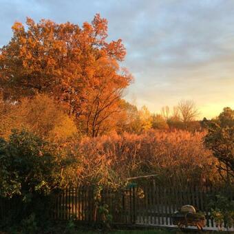 Bed & Breakfast Scherauer Hof