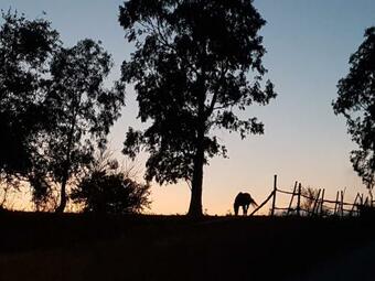 Apartamento Casa Lorenzino, Relax In Der Natur